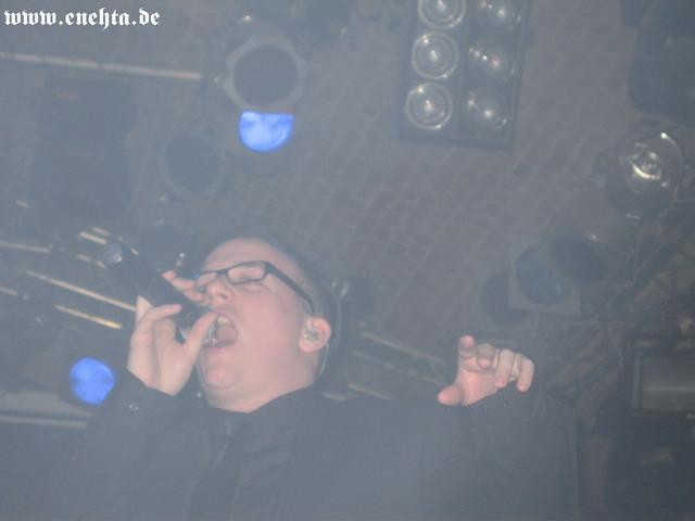 Lame Immotrelle vom 20.02.2008-030.jpg